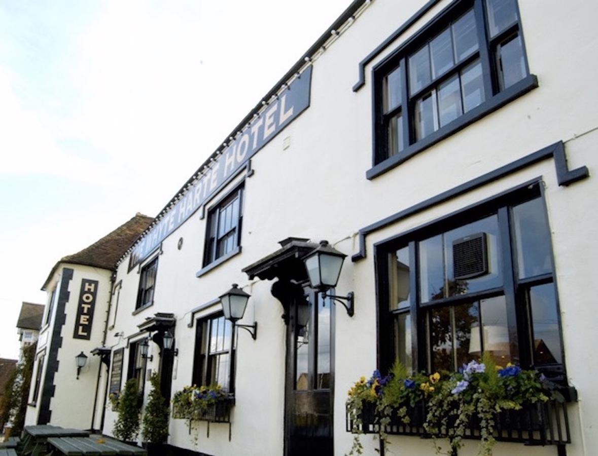 Whyte Harte Hotel Redhill  Exterior photo