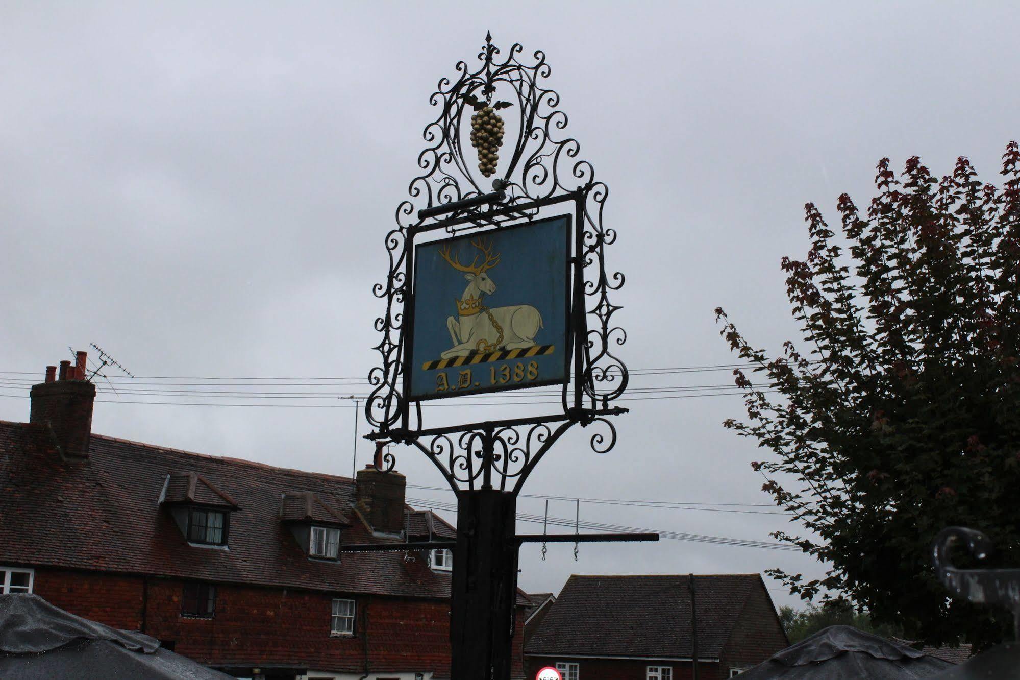 Whyte Harte Hotel Redhill  Exterior photo